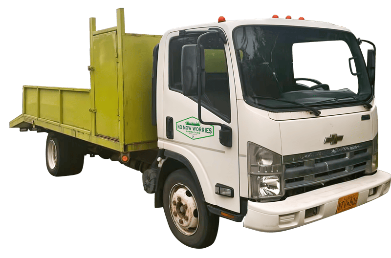 Wasilla Yard Maintenance
